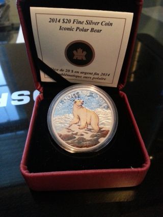 $20 Iconic Polar Bear Coin - @ - Royal Canadian photo