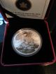 $20 Iconic Polar Bear Coin - @ - Royal Canadian Coins: Canada photo 2