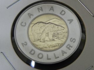 2001 Specimen Unc Canadian Canada Polar Bear Toonie Two $2 Dollar photo