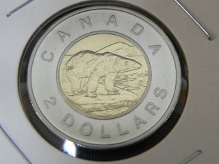 2002 Specimen Unc Canadian Canada Polar Bear Toonie Two $2 Dollar 1952 - 2002 photo
