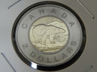 2007 Specimen Unc Canadian Canada Polar Bear Toonie Two $2 Dollar photo