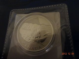2013 $20 Iceberg And Whale (special Strike) Silver Commemorative photo