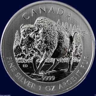 2013 Canada Wood Bison 1 Oz.  9999 Pure Silver Coin photo