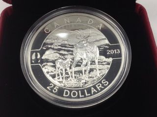 2013 $25 Pure Silver Coin - The Caribou photo