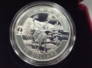 2013 $10 Pure Silver Coin - O Canada The Caribou (8 Of 12) Limited Mintage photo