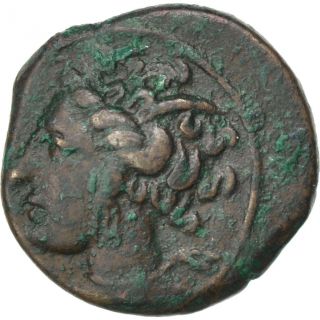 [ 32690] Carthage,  Zeugitane,  Bronze,  Ae 16 photo