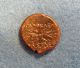 Syracuse Sicily Reign Of Agathokles 317 - 289 B.  C. Coins: Ancient photo 2