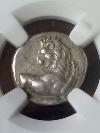 Rare Ngc Ch Xf 5/4 Thrace Chersonesos Silver Lion Hemidrachm Bee Ancient Coin photo