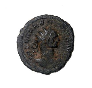 Rare Issue Of Aurelian 270 - 5 Ad Ae Antoninianus Tripolis Ric.  390 Roman Coin photo