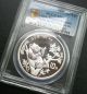 1995 Silver Panda Coin Small Twig Small Date S10y Pcgs Ms69;rare Coins: World photo 2