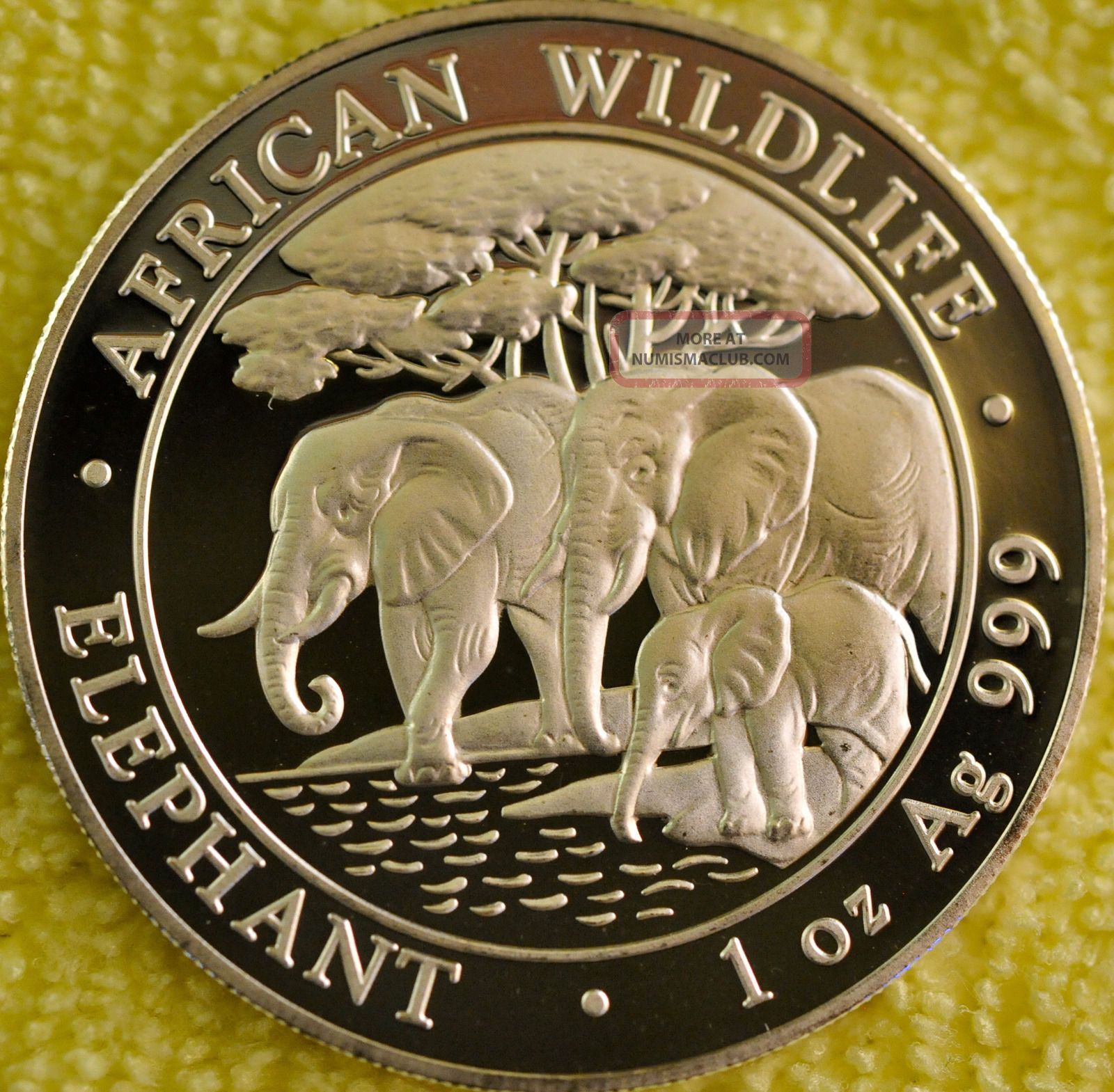 2013 Somalia African Wildlife Elephant 1oz Silver Bu Coin