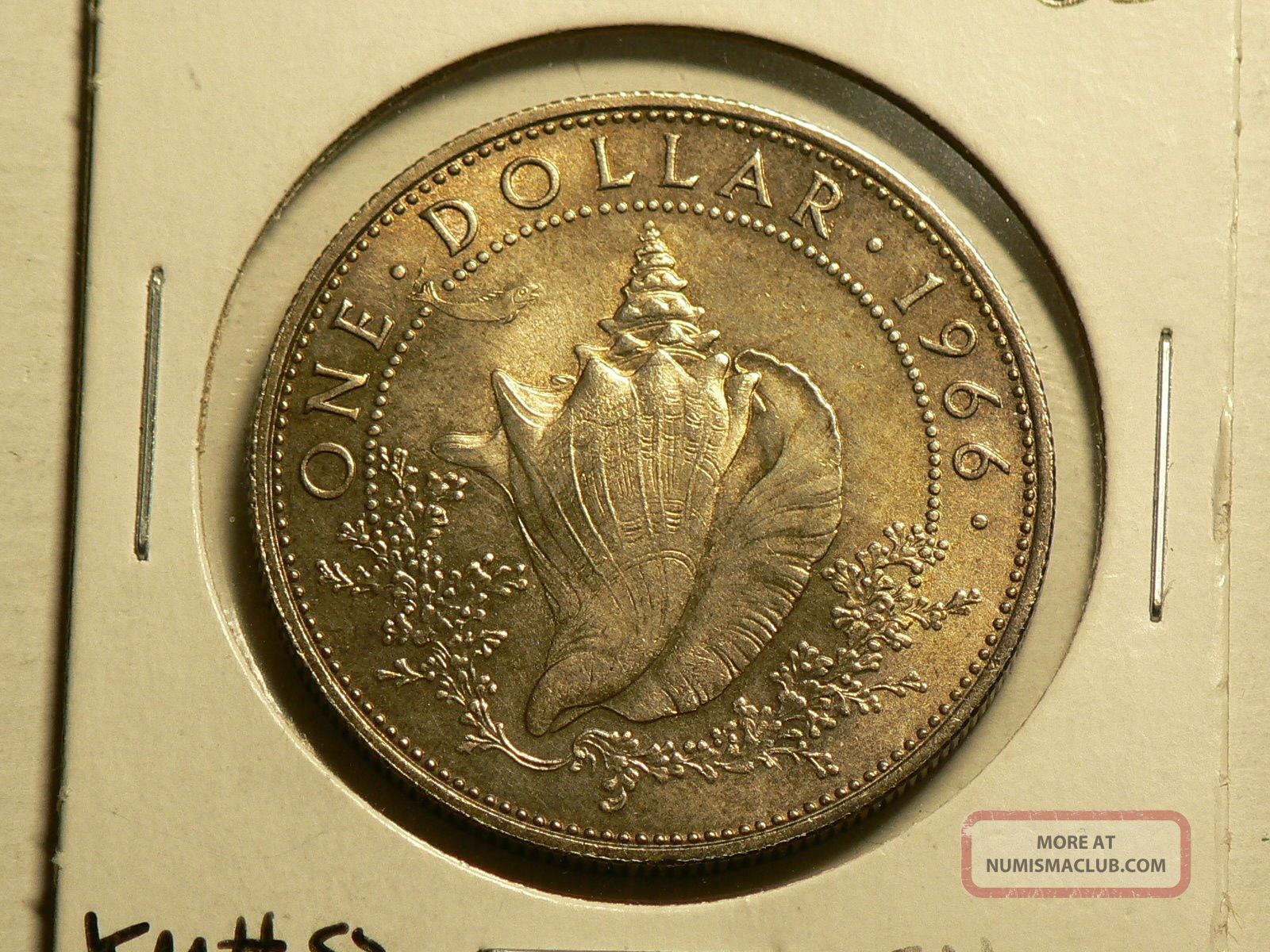 Bahamas, 1966, One Dollar Sea Shell Silver Coin Km 8 17501600 x 1200