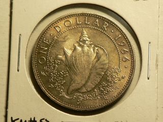 Bahamas,  1966,  One Dollar Sea Shell Silver Coin Km 8 1750 photo