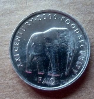 Somalia 2000 5 Shillings Elephant Fao photo