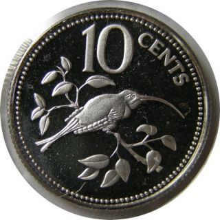 Elf Belize British 10 Cents 1979 Silver Proof Long - Tailed Hermit Bird photo