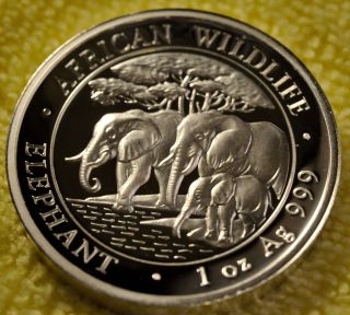 2013 Somalia Elephant High Relief.  999 Silver Proof Coin - With & Box photo