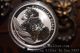 1 Oz Silver Coin Bu 2014 Australian Koala Coin.  999 Fine Silver From Perth Australia photo 7