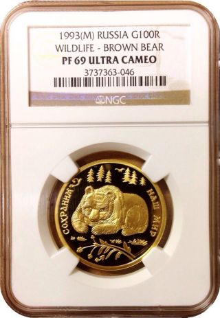 1993 Russia Proof 1/2 Oz Gold Coin Ngc Pf69 Brown Bear Wildlife 100 Roubles Rare photo