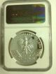 2010 Poland Silver Coin 20zl Lesser Horseshoe Bat Ngc Pf69 Ultra Cameo Europe photo 1