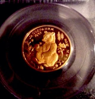 1993 Russia Gold 50 Ruble (rouble) Russian Brown Bear Pcgs Pr68 Very Rare photo