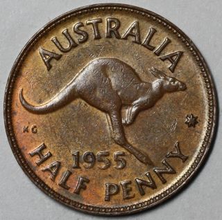 1955 Au Roo 1/2 Penny Australia (half Penny) Elizabeth Ii Great Britain Coin photo