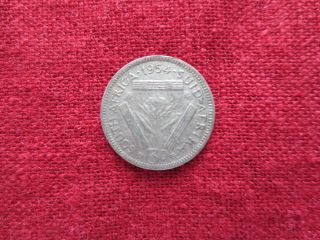 1954 Silver 3 Pence Coin South Africa Fine photo