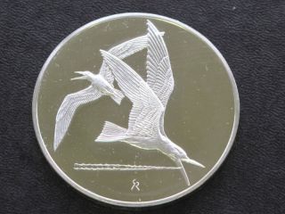 Black Skimmers Sterling Silver Medal Round A4309 photo