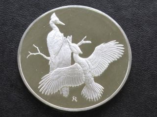 Pileated Woodpeckers Sterling Silver Medal Round A4317 photo