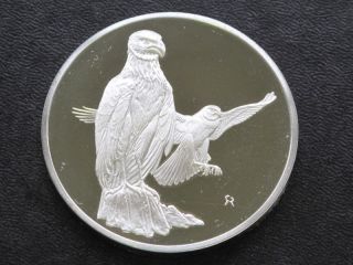 Marsh Hawk Sterling Silver Medal Round A4302 photo
