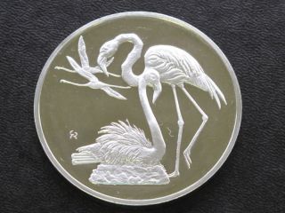 Greater Flamingo Sterling Silver Medal Round A4311 photo
