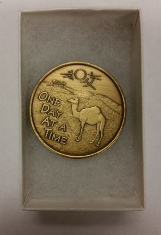 Camel In The Desert One Day At A Time A.  A.  Bronze Medallion Great Condtion photo