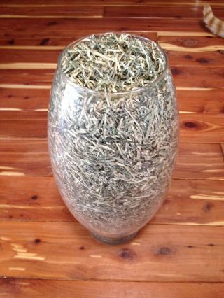 Shredded Money From Bep/ Us Currency/ 350,  00.  00 Dollars/ Glass Container photo