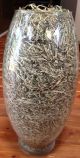 Shredded Money From Bep/ Us Currency/ 350,  00.  00 Dollars/ Glass Container Paper Money: US photo 1