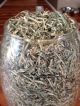 Shredded Money From Bep/ Us Currency/ 350,  00.  00 Dollars/ Glass Container Paper Money: US photo 2