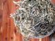 Shredded Money From Bep/ Us Currency/ 350,  00.  00 Dollars/ Glass Container Paper Money: US photo 5