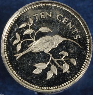 1974 10c Long - Tailed Hermit Belize.  0829 Asw Sterling Proof Coin - 68862 photo
