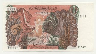 Algeria 10 Dinars 1 - 11 - 1970 Pick 127.  A Aunc photo