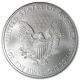 2010 1 Oz Silver American Eagle Coin Silver photo 1