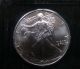 1993 Silver American Eagle,  Littleton Coin Company Silver photo 2