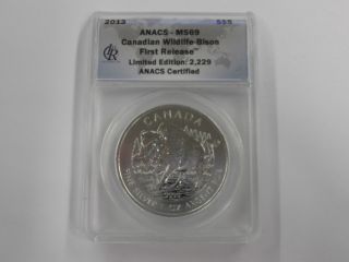 2013 - Anacs Ms - 69 Canadian Wildlife - Bison First Release $5 Silver Coin photo