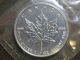2002 1 Oz Silver Maple Leaf Coin Canada Mylar Pouch Unc Silver photo 8