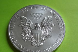 2013 American Silver Eagle photo