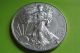 2013 American Silver Eagle Silver photo 1