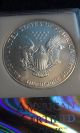 1993 Silver Eagle Silver Dollar 