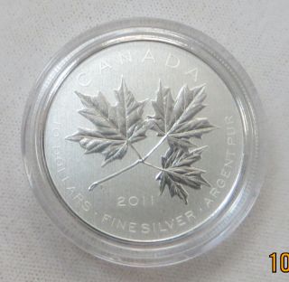 2011 $10 1/2 Fine Silver 999 - Canada - Maple Leaf Forever Ogp - Box & photo