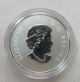 2011 $10 1/2 Fine Silver 999 - Canada - Maple Leaf Forever Ogp - Box & Silver photo 1