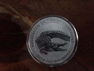 2014 Australian Saltwater Crocodile 1 Oz.  999 Silver Coin In Hand In Capsule photo