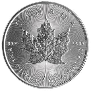 2014 1 Oz Silver Canadian Maple Leaf Coin.  9999 Fine Silver Uncirculated Gem photo