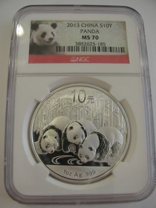 Ms - 70 Ngc 2013 China Chinese 1 Troy Oz.  999 Fine Silver Panda 10 Yuan Coin Bear photo
