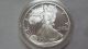 Coinhunters - 1991 - S Proof American Silver Eagle And Silver photo 2